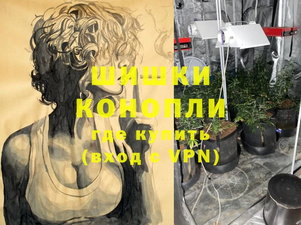 PSILOCYBIN Вязники