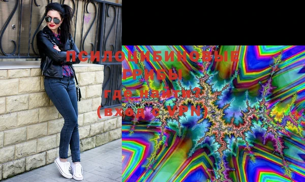 PSILOCYBIN Вязники