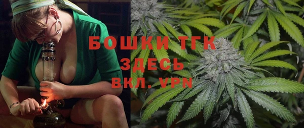 PSILOCYBIN Вязники