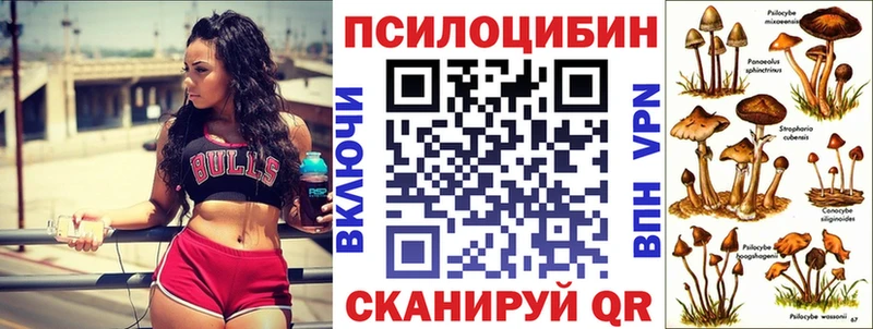 Галлюциногенные грибы мицелий  Купить  Краснотурьинск 